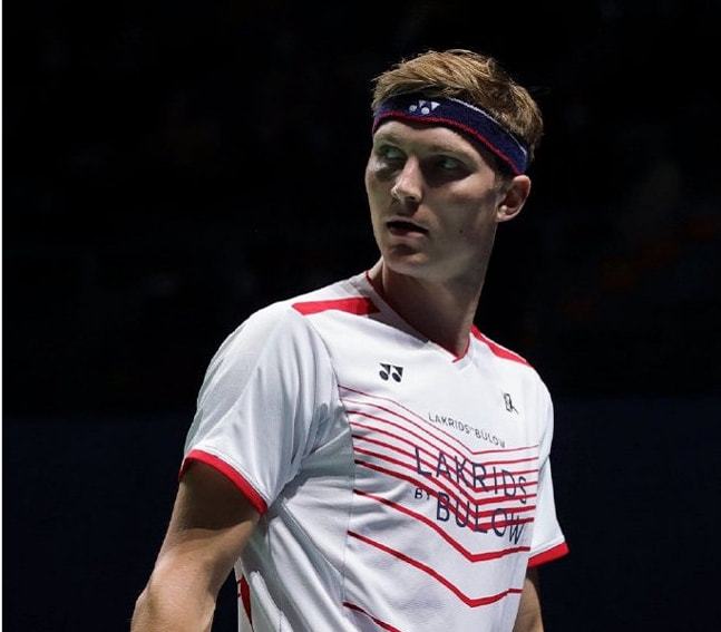 碎石路与林 碎石路与林